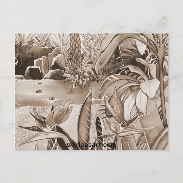 Cartão Postal Pond no plantor de abacaxi (Frente)