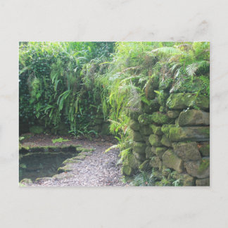 Cartão Postal Pond's Grotto