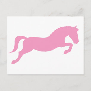 Cartão Postal Pônea de Salto Rosa