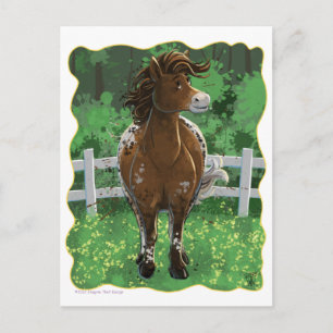 Cartão Postal Pônei Appaloosa
