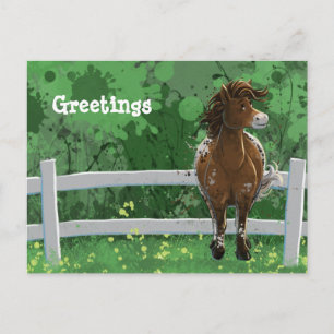 Cartão Postal Pônei Pintado Appaloosa