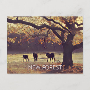 Cartão Postal Pôneis da New Forest