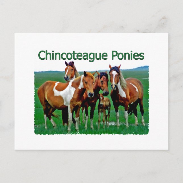 Cartão Postal Pôneis de Chincoteague (família) (Frente)