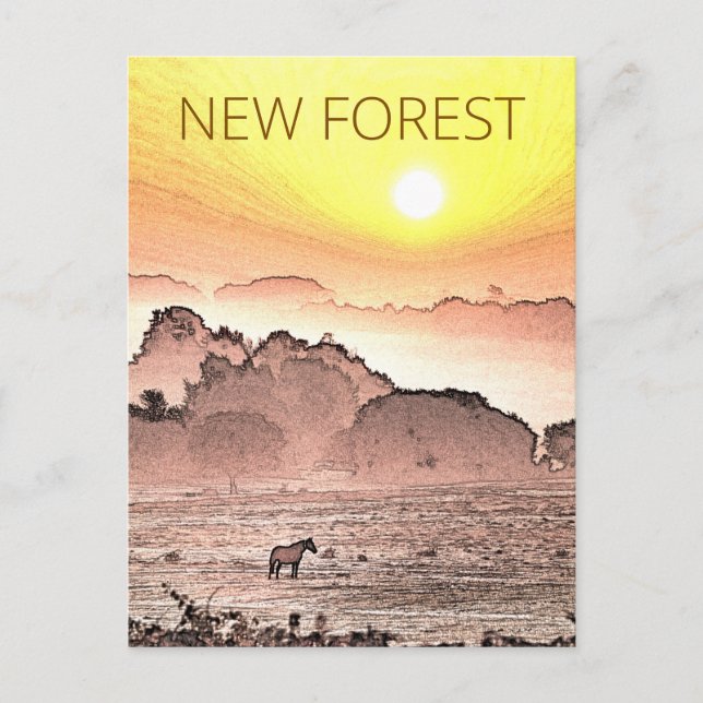 Cartão Postal Pôneo da Nova Floresta no Sol (Frente)