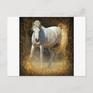 Cartão Postal Ponha-o!