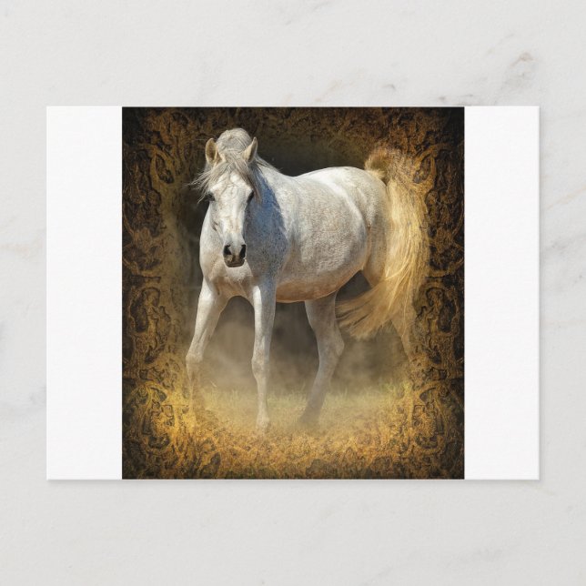 Cartão Postal Ponha-o! (Frente)