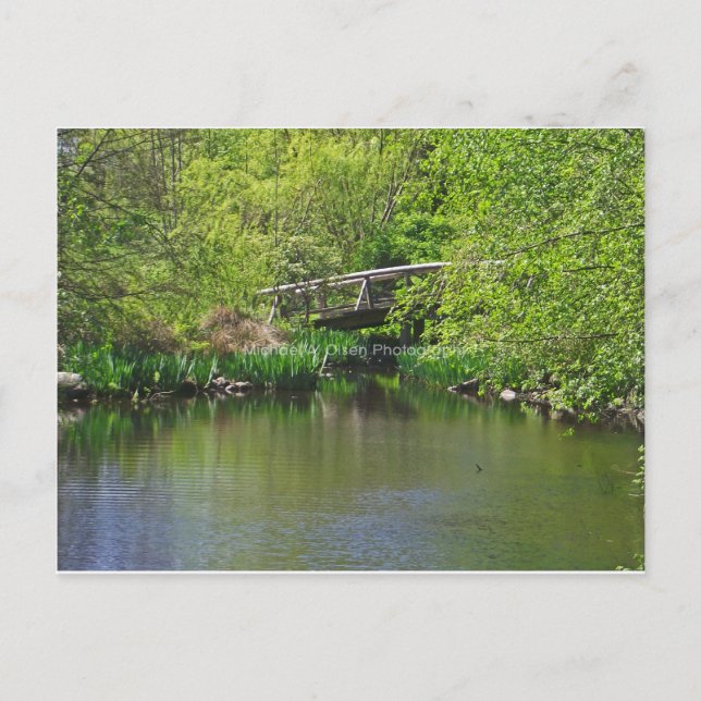 Cartão Postal ponte (Frente)