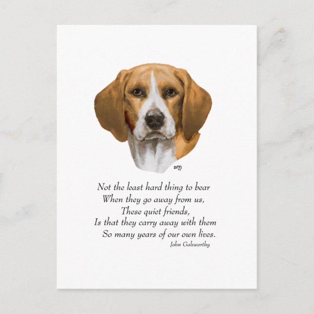 Cartão Postal Ponte Beagle Rainbow (Frente)