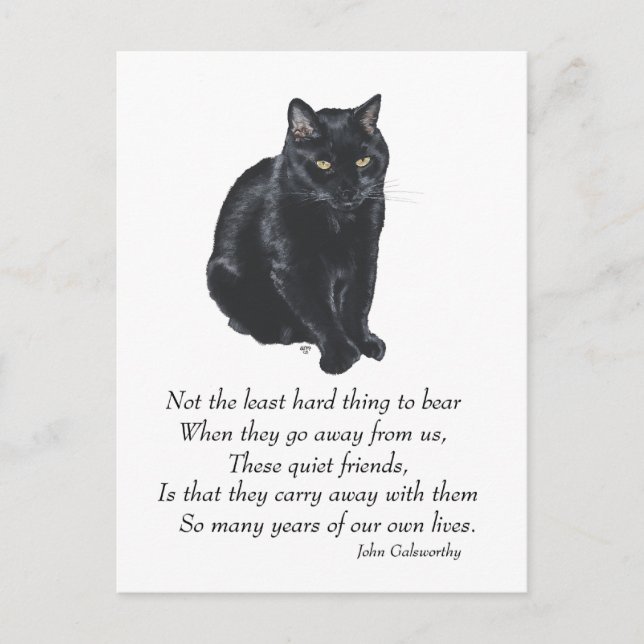 Cartão Postal Ponte Black Cat Rainbow (Frente)