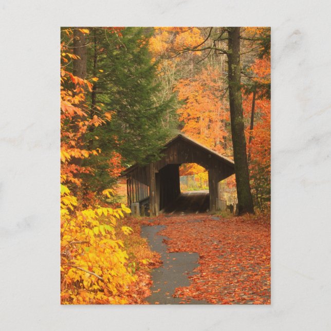 Cartão Postal Ponte coberta pela estação de bombeamento Greenfie (Frente)