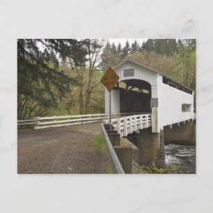 Cartão Postal Ponte coberta Wild Cat, Condado de Lane, Oregon