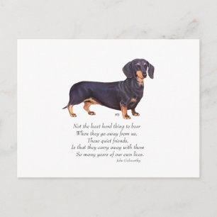 Cartão Postal Ponte Dachshund Rainbow