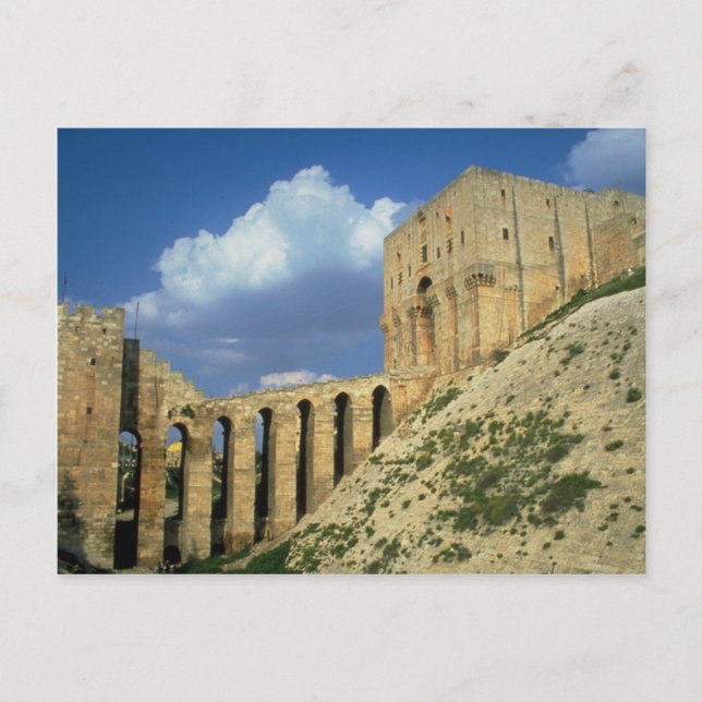 Cartão Postal Ponte de entrada e tapete, Citadel, Aleppo, Syr (Frente)