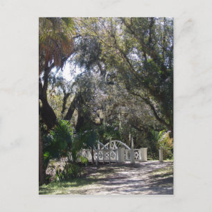 Cartão Postal Ponte do Parque