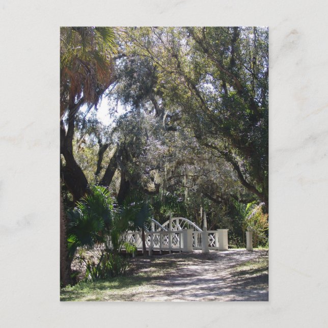 Cartão Postal Ponte do Parque (Frente)