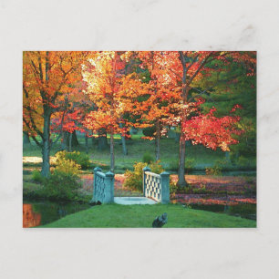 Cartão Postal Ponte do Pé no outono