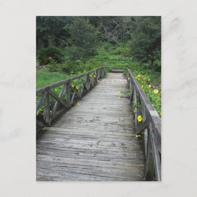 Cartão Postal Ponte em Bellingrath Gardens (Frente)