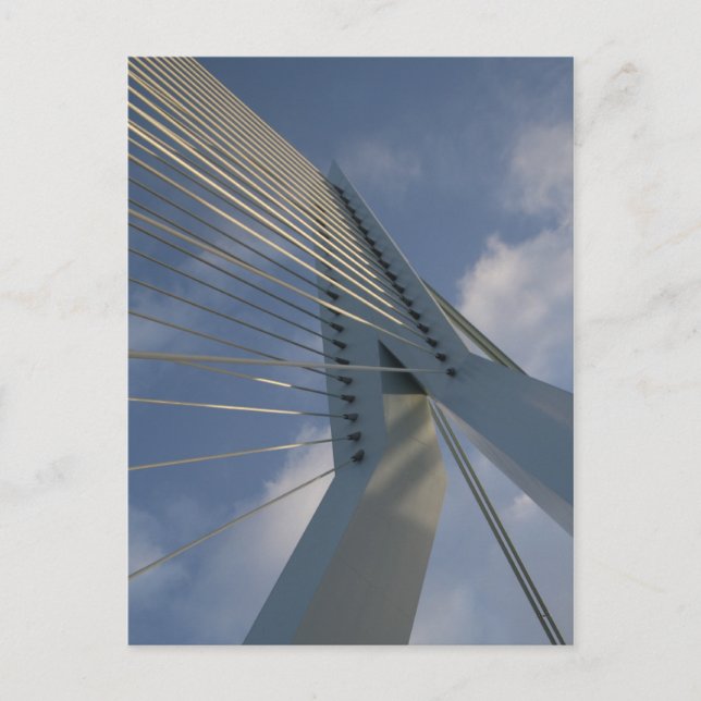 Cartão Postal Ponte Erasmus, Roterdão (Frente)