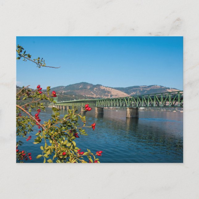 Cartão Postal Ponte Hood River com plantas em primeiro plano (Frente)