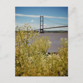Cartão Postal Ponte Humber no Sol [Cartão postal]
