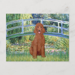 Cartão Postal Ponte Lily Pond - Poodle Padrão Vermelho Escuro #1