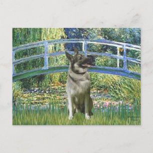Cartão Postal Ponte - Norwegian Elkhound