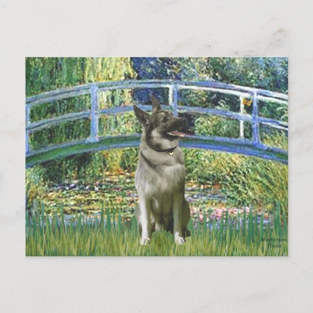 Cartão Postal Ponte - Norwegian Elkhound (Frente)
