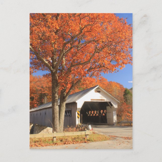 Cartão Postal Ponte Oeste coberta pelo rio e Oak Vermont (Frente)