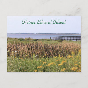 Cartão Postal Ponte postal, flores silvestres, oceano, Príncipe