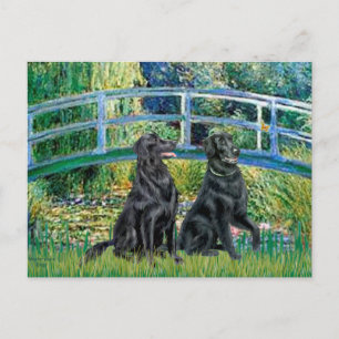 Cartão Postal Ponte - Retriever de Capa Lisa (dois)