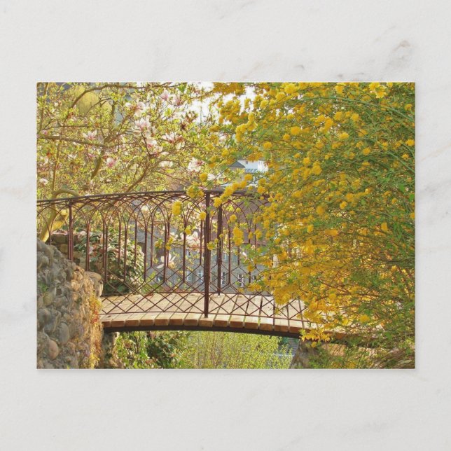 Cartão Postal Ponte Romântica Antiga em Bregenz em Vorarlberg (Frente)