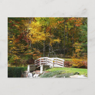 Cartão Postal Ponte Seven Springs Fall I Paisagem de Outono