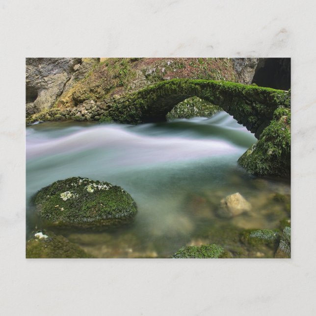 Cartão Postal Ponte sobre a água turva (Frente)