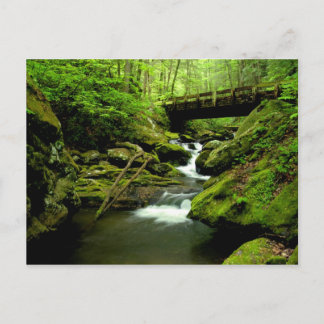 Cartão Postal Ponte sobre o Forno de Estrada