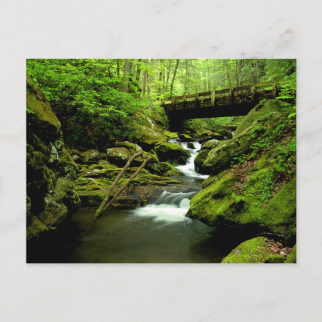 Cartão Postal Ponte sobre o Forno de Estrada (Frente)