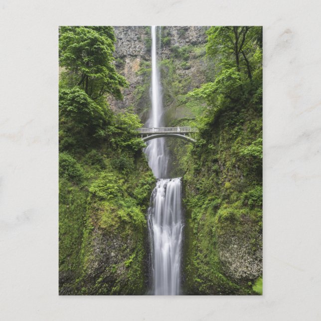 Cartão Postal Ponte sobre paisagem de cascata (Frente)