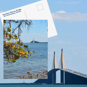 Cartão Postal Ponte Sunshine Skyway St Petersburg Fotográfico