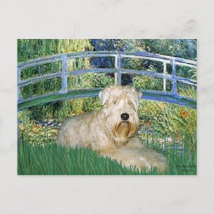 Cartão Postal Ponte-Wheaten Terrier 1