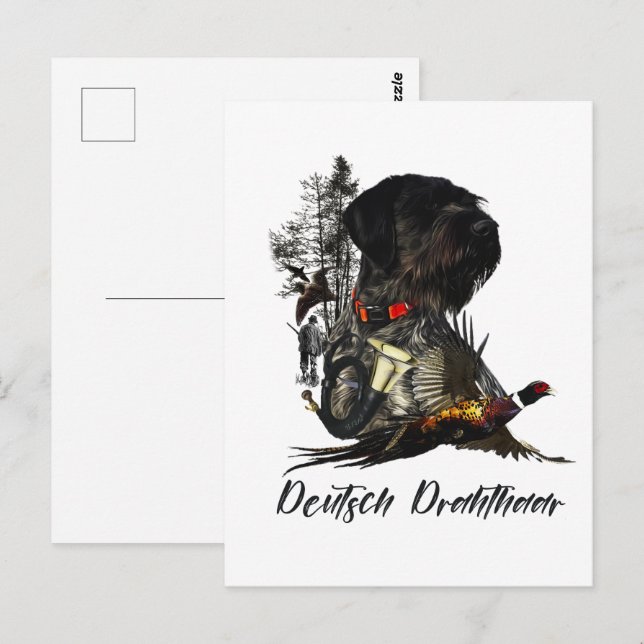 Cartão Postal Ponteiro alemão Wirehaired (Frente/Verso)