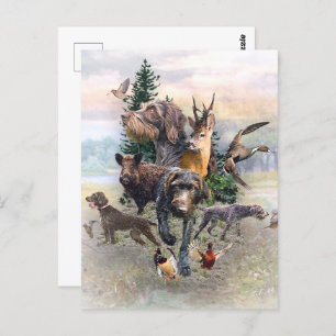 Cartão Postal Ponteiro alemão Wirehaired