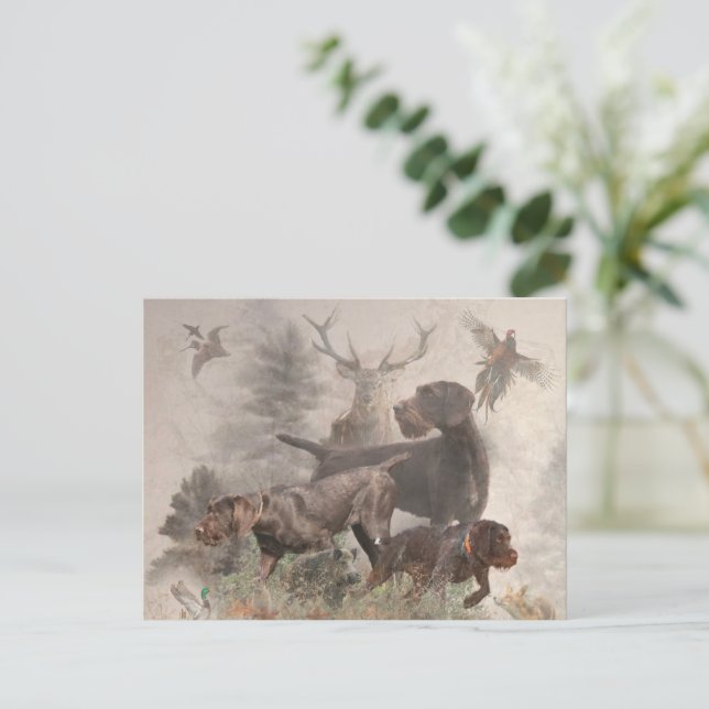 Cartão Postal Ponteiro alemão Wirehaired (Em pé/Frente)