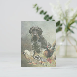 Cartão Postal Ponteiro alemão Wirehaired