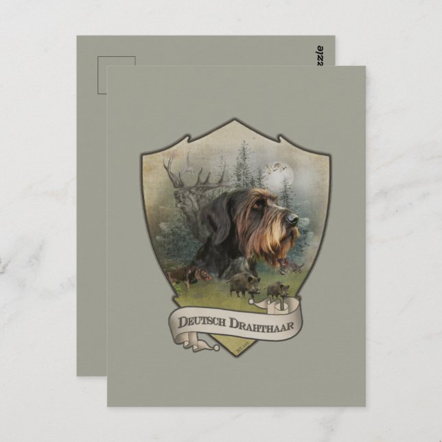Cartão Postal Ponteiro alemão Wirehaired (Frente/Verso)