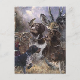 Cartão Postal Ponteiro alemão Wirehaired