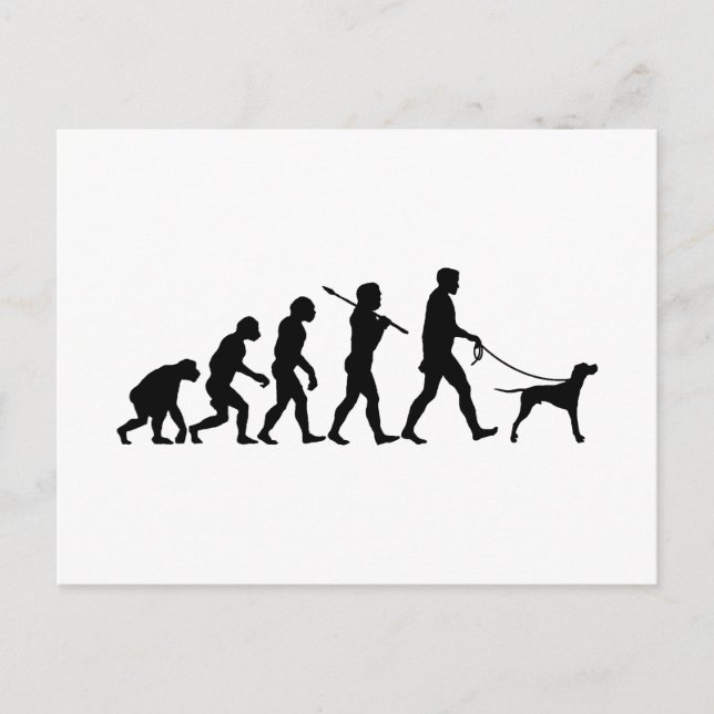 Cartão Postal Ponteiro Inglês (Frente)