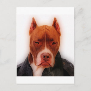 Cartão Postal Ponto de atordoamento