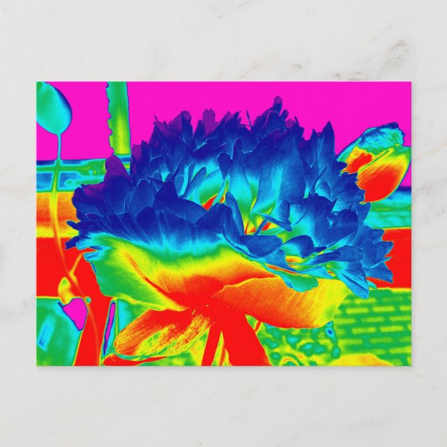Cartão Postal Ponto de Flor Multicolorido Funky Rainbow (Frente)
