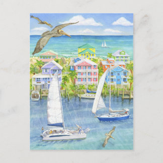 Cartão Postal Ponto de vista Pelicano