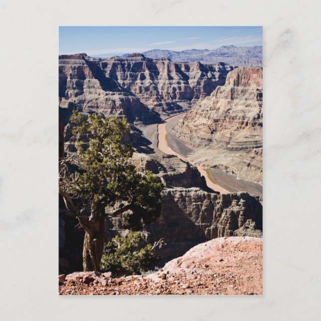 Cartão Postal Ponto do Guano - postcardcopy (Frente)