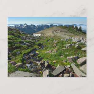 Cartão Postal Ponto do Monte Rainier Panorama